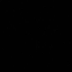 Meet your Posher, Alisha